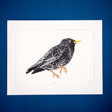 Starling Screen Print