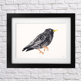 Starling Screen Print