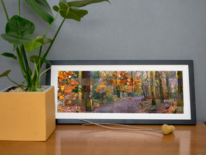 "108 Remnants of Ecclesall Woods in Autumn" Panoramic Photo Montage
