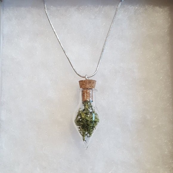 Moss Terrarium Necklace