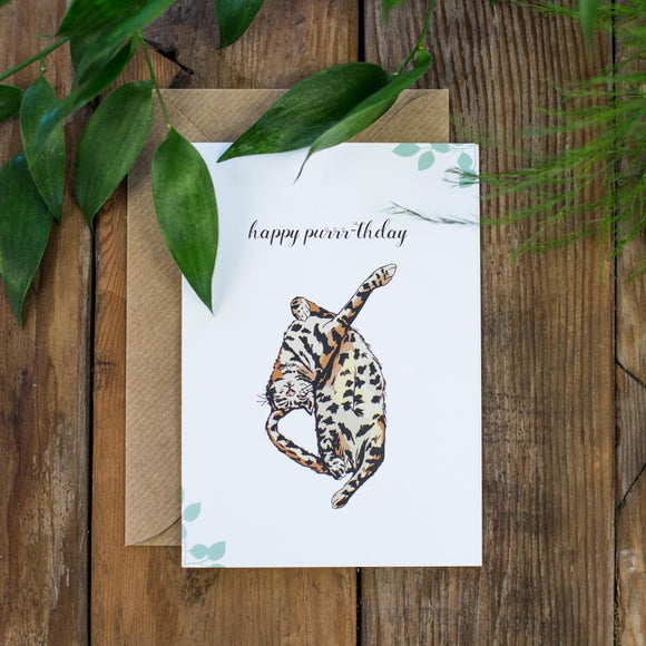 Happy Purrth-day Card