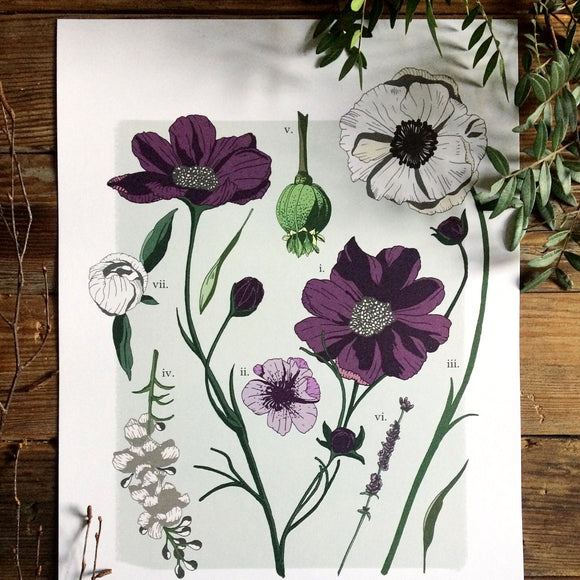 Study One A3 Print