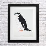 Chinstrap Penguin Screen Print