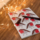 Robin Print Notebook