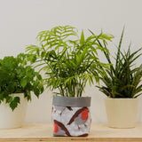 Robin Print Textile Plant Pot