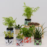 African penguin Print Textile Plant Pot