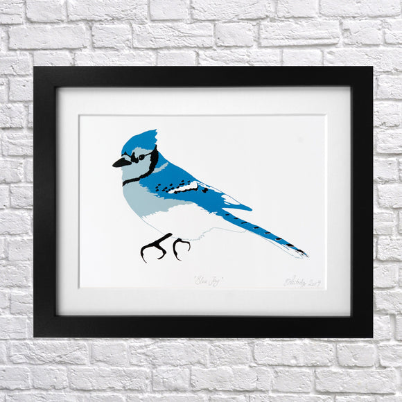Blue Jay Screen Print
